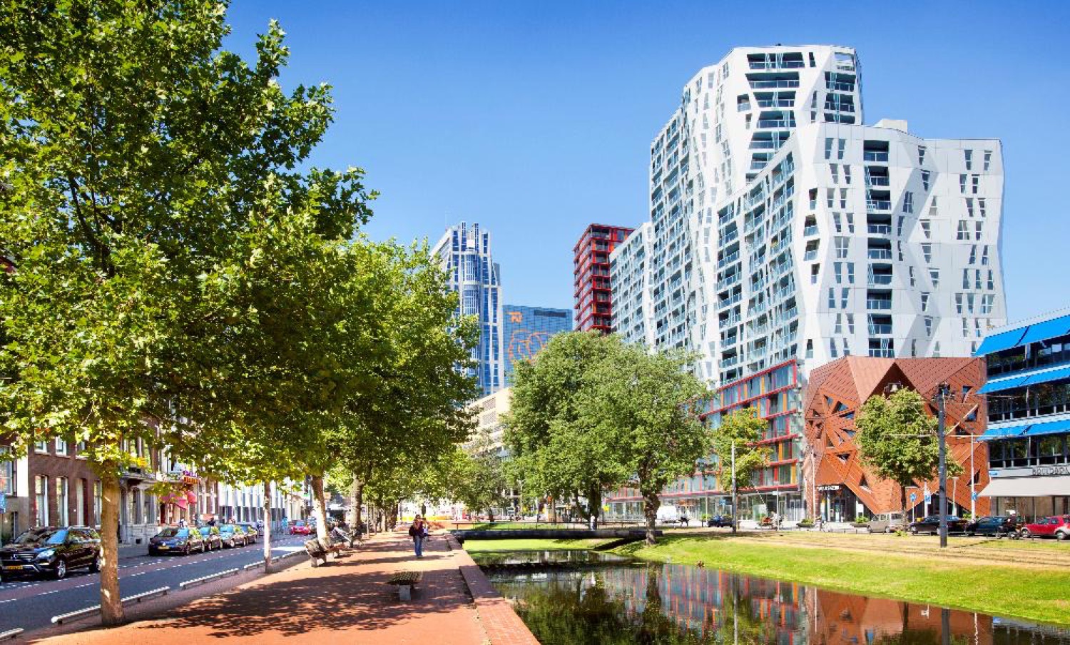 Groene Rotterdamse buitenruimte met bomen en water