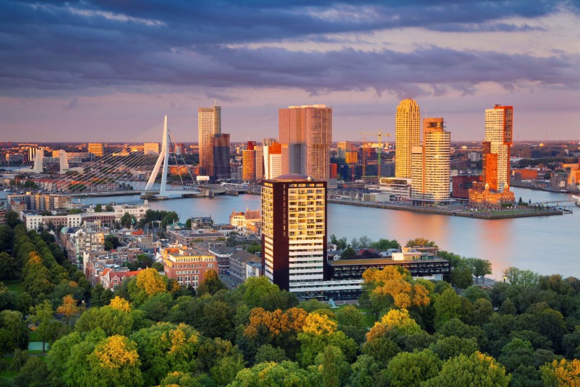 Skyline van Rotterdam met de Erasmusbrug en de Kop van Zuid